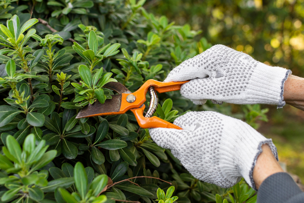 gardening-img